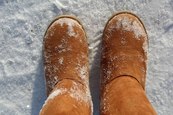 Close Warm Boots Ugg Boots Snow Photo Brown Ugg Boots Royalty Free Stock Images