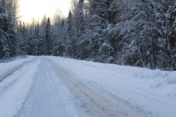 Autostrada Una Foresta Invernale Coperta Neve Foto Autostrada Inverno Foresta — Foto Stock