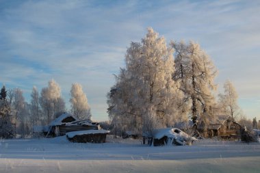 Kış manzarası, karla kaplı ağaçlar ve eski bir köy / fotoğraf kış manzarası. Her yerde beyaz kar var. Ağaçlar buzla kaplıdır. Eski köydeki ahşap evleri yıktılar. Güneşli bir gün. Bulutlu mavi bir gökyüzü..