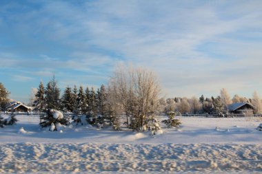 Karlı kış ve fotoğraf köyündeki eski bir Rus köyü. Tarlalar ve evler beyaz karla kaplıdır. Ağaçlar çok güzel bir şekilde buzla kaplıdır. Etrafta kar yığınları var. ahşap evler.