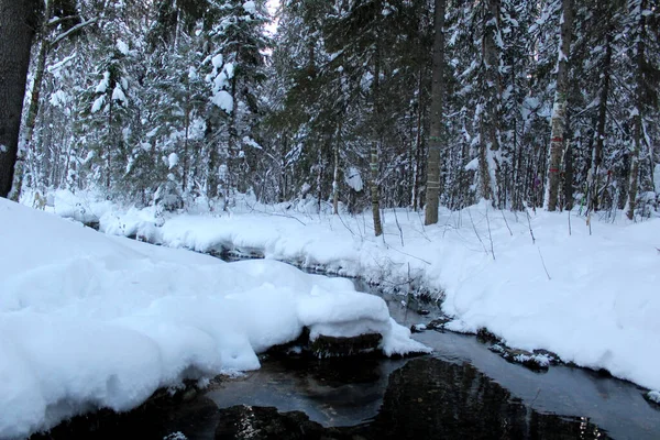 Lot Snow Bank Unfrozen River Winter Photo Snowy Winter Clean — Foto de Stock