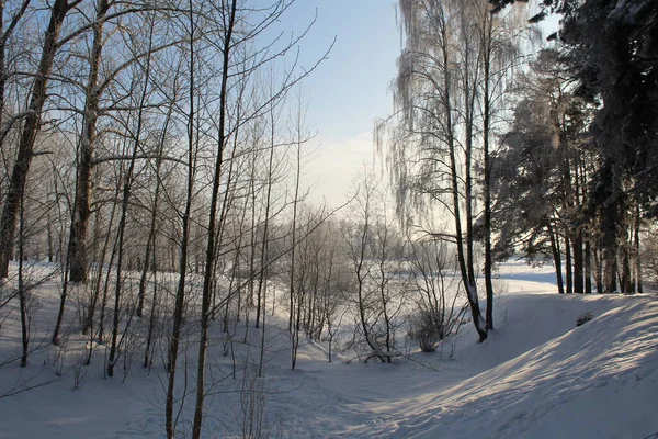 Winterlandschaft Wald Frostiges Sonniges Wetter Foto Der Winterlandschaft Liegt Viel — Stockfoto