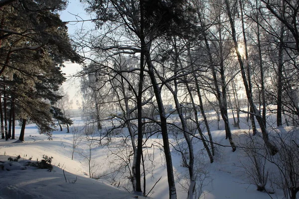 Winterlandschaft Wald Frostiges Sonniges Wetter Foto Der Winterlandschaft Liegt Viel — Stockfoto