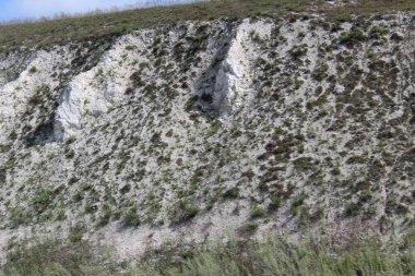 Bölgede tebeşir dağı, Voronezh bölgesinde bir tepe, Rusya ve dağın fotoğrafı. Tebeşirden oluşuyor. Taşlar beyaz. Tepe yukarıdan gelen yeşil çimlerle kaplıdır. Bölümdeki tepe..