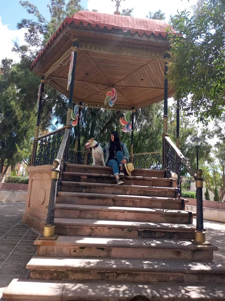 ラテン系の大人の女性とともに彼女の白い丸い犬の散歩でメキシコの植民地時代の町のキオスク — ストック写真