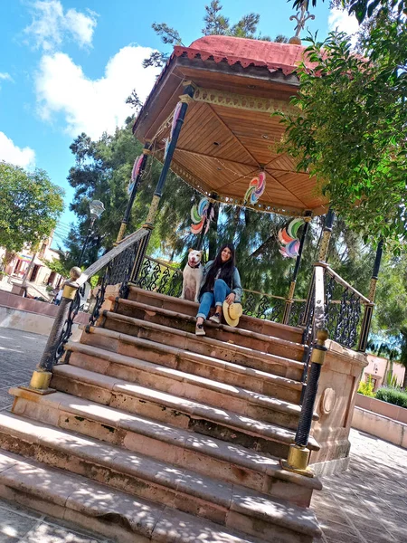Взрослая Женщина Латиноамериканка Белым Питбулем Гуляющая Киоске Мексиканского Колониального Городка — стоковое фото