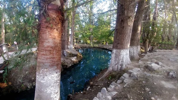 Açık Mavi Yeşil Sular Yüzebileceğiniz Şnorkelle Yüzebileceğiniz San Luis Potos — Stok fotoğraf