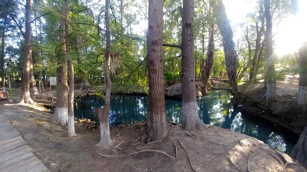 Acqua Cristallina Blu Verde Circondata Alberi Nella Laguna Media Luna — Foto Stock