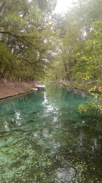 メキシコのサンルイス ポトス州にあるRo VerdeのMedia Lunaラグーンの木々に囲まれたクリスタルクリアブルーと緑の水で泳ぐことができ シュノーケリング — ストック写真
