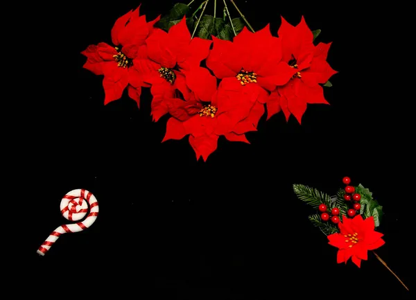 Красные Мексиканские Пуансеттия Цветы Рамку Рождественское Сообщение Черном Фоне Золотыми — стоковое фото