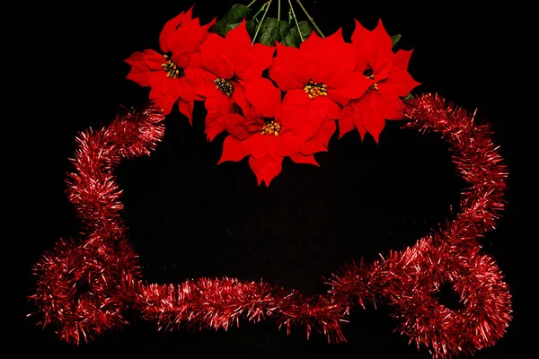 Červená Mexická Poinsetia Květiny Rámu Vánoční Poselství Černém Pozadí Zlatými — Stock fotografie