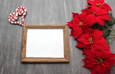 Noel, Meksika çiçeği Red Poinsettia ile birlikte mutluluk ve iyi dilekler mesajı olarak çerçevelenir.