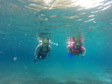 Çift, kristal berrak suyun altında yüzer, yüzgeçler ve güneşlikle mutlu bir şekilde yüzer ve aşklarını egzersiz yaparak ve yeni bir deneyim yaşayarak paylaşır