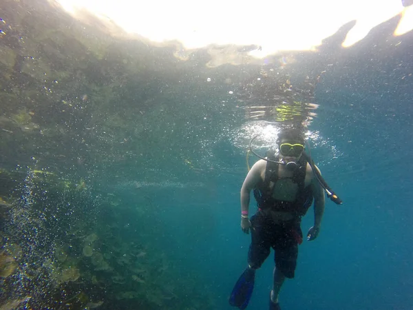 Latino Adult Man Dives Underwater Scuba Equipment Oxygen Tank Visor — стоковое фото