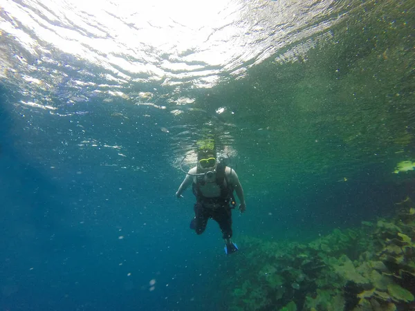 Latino Adult Man Dives Underwater Scuba Equipment Oxygen Tank Visor — Zdjęcie stockowe