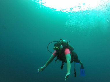 Young woman practices the sport scuba diving with oxygen tank equipment, visor, fins, relaxes and enjoys the bottom of the crystal clear water next to large branches and trunks