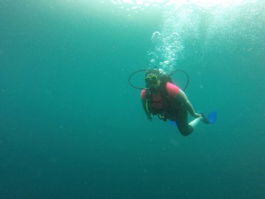 Young woman practices the sport scuba diving with oxygen tank equipment, visor, fins, relaxes and enjoys the bottom of the crystal clear water next to large branches and trunks