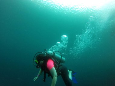 Young woman practices the sport scuba diving with oxygen tank equipment, visor, fins, relaxes and enjoys the bottom of the crystal clear water next to large branches and trunks