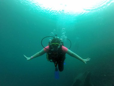 Young woman practices the sport scuba diving with oxygen tank equipment, visor, fins, relaxes and enjoys the bottom of the crystal clear water next to large branches and trunks