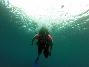 Young woman practices the sport scuba diving with oxygen tank equipment, visor, fins, relaxes and enjoys the bottom of the crystal clear water next to large branches and trunks