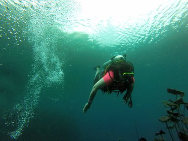 Young woman practices the sport scuba diving with oxygen tank equipment, visor, fins, relaxes and enjoys the bottom of the crystal clear water next to large branches and trunks