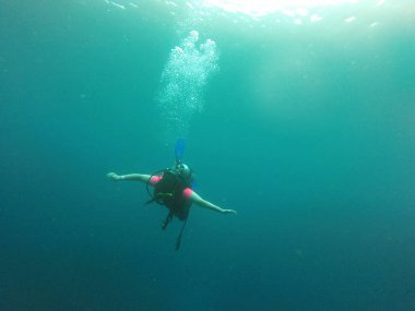 Young woman practices the sport scuba diving with oxygen tank equipment, visor, fins, relaxes and enjoys the bottom of the crystal clear water next to large branches and trunks
