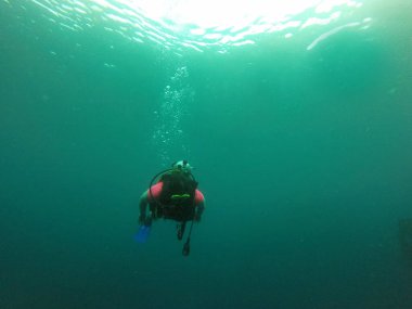Young woman practices the sport scuba diving with oxygen tank equipment, visor, fins, relaxes and enjoys the bottom of the crystal clear water next to large branches and trunks