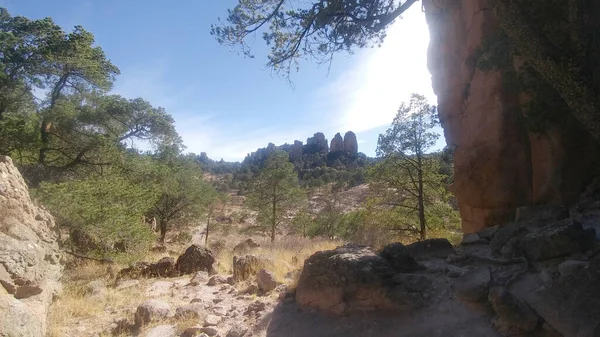 Park Mexico Sierra Organos Large Rock Formations Desert Environment Sombrerete — Stock fotografie