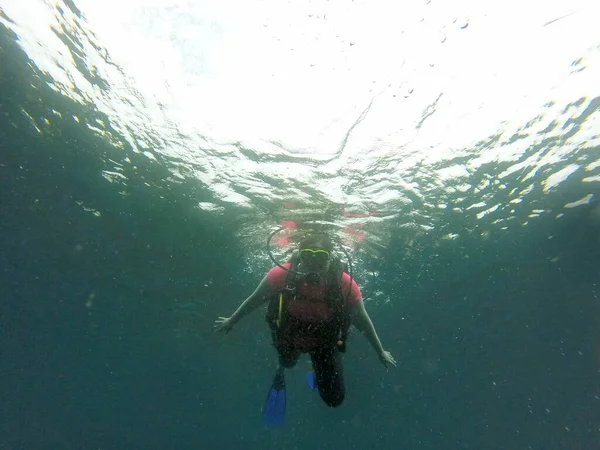 Young woman practices the sport scuba diving with oxygen tank equipment, visor, fins, relaxes and enjoys the bottom of the crystal clear water next to large branches and trunks