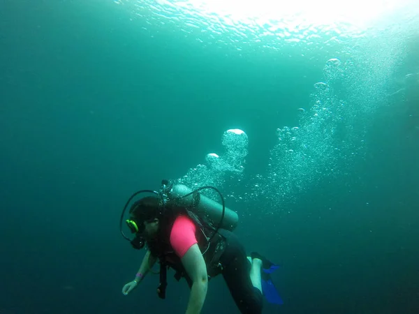 Young Woman Practices Sport Scuba Diving Oxygen Tank Equipment Visor — стоковое фото