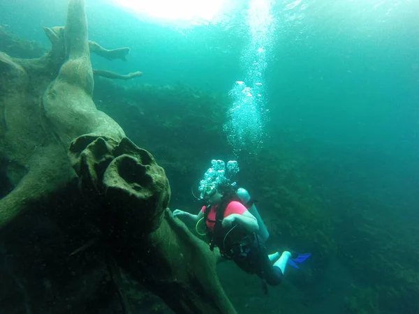 Young Woman Practices Sport Scuba Diving Oxygen Tank Equipment Visor — Stockfoto