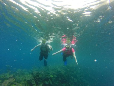Bir çift erkek ve kadın oksijen tankı ekipmanları, yelek, şnorkel, yüzgeçler ve düzenleyici ile suya dalıyorlar. Spor etkinliğinin tadını çıkarın.