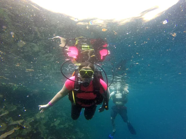 Couple of man and woman dive underwater with the oxygen tank equipment, vest, snorkel, fins, regulator enjoy the sport activity
