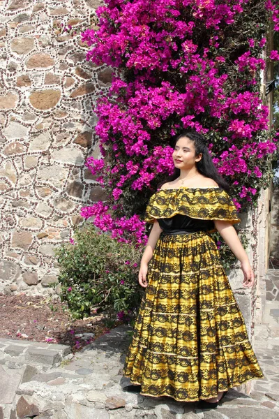 멕시코 치아파스주 출신의 멕시코 의상을 라티나라는 여성은 자신의 문화와 전통을 — 스톡 사진