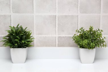 Minimalist masaüstü veya mutfak arka planı olarak gri kareleri olan yeşil bitkilerle dolu beyaz kaplar.