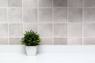 Minimalist masaüstü veya mutfak arka planı olarak gri kareleri olan yeşil bitkilerle dolu beyaz kaplar.