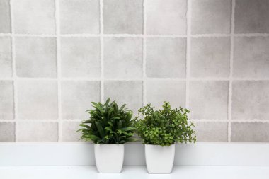 Minimalist masaüstü veya mutfak arka planı olarak gri kareleri olan yeşil bitkilerle dolu beyaz kaplar.