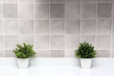 Minimalist masaüstü veya mutfak arka planı olarak gri kareleri olan yeşil bitkilerle dolu beyaz kaplar.