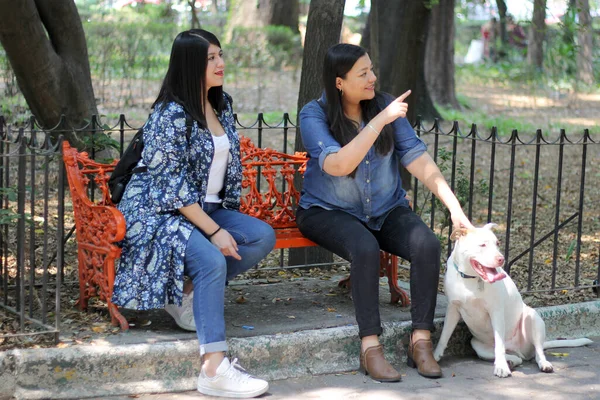 Взрослые Женщины Латинской Америки Сидящие Скамейке Парке Разговаривают Проводят Время — стоковое фото