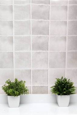 Minimalist masaüstü veya mutfak arka planı olarak gri kareleri olan yeşil bitkilerle dolu beyaz kaplar.