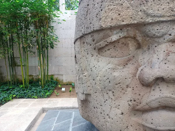 Muzeum Antropologii Xalapa Veracruz Max Jest Drugim Wielkości Muzeum Meksyku — Zdjęcie stockowe