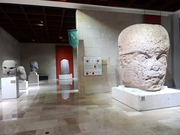 Музей Антропології Ксалапи Веракрус Max Другим Важливістю Музеєм Мексиці Другою — стокове фото
