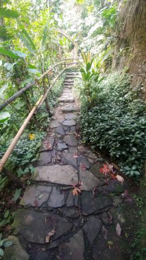 Xilitla, Meksika - 26 Ekim 2016: Edward James Heykel Bahçesi, Las Pozas San Luis Potosi eyaletindeki büyülü Meksika kasabasında gerçeküstü yapılarla