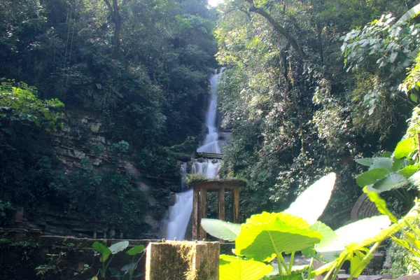 Xilitla Mexiko Okt 2016 Edward James Skulpturengarten Las Pozas Der — Stockfoto