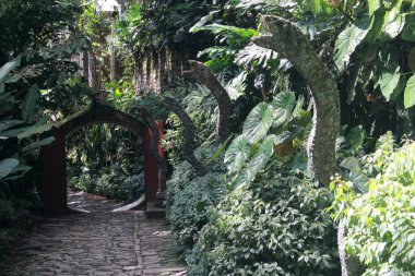 Xilitla, Meksika - 26 Ekim 2016: Edward James Heykel Bahçesi, Las Pozas San Luis Potosi eyaletindeki büyülü Meksika kasabasında gerçeküstü yapılarla