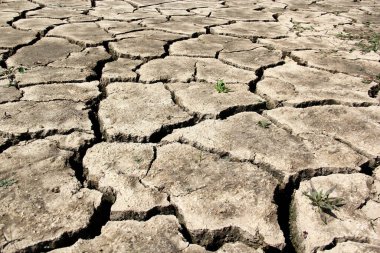 Dünya Su Günü, bu önemli sıvının önemini hatırlamak için her 22 Mart 'ta kutlanır. Kuraklığa iklim değişikliği neden olur, yağmur eksikliği, su kıtlığı yaratır.