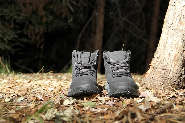 Black Boots Dark Forest Trees Ready Hiking Mountains Explore Night — Stockfoto