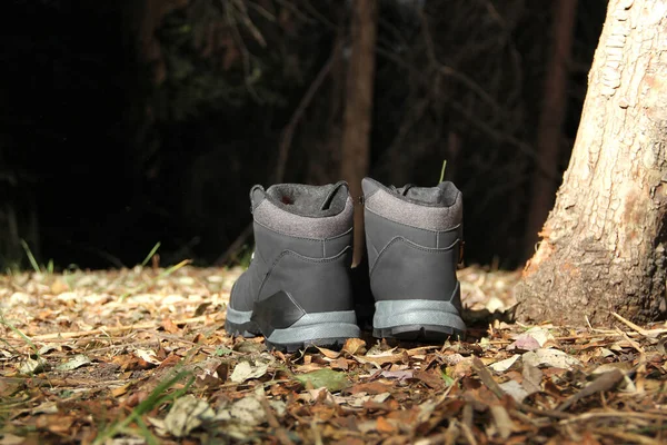 Schwarze Stiefel Dunklen Wald Zwischen Bäumen Bereit Zum Wandern Den — Stockfoto