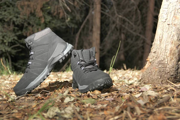 Black Boots Dark Forest Trees Ready Hiking Mountains Explore Night —  Fotos de Stock