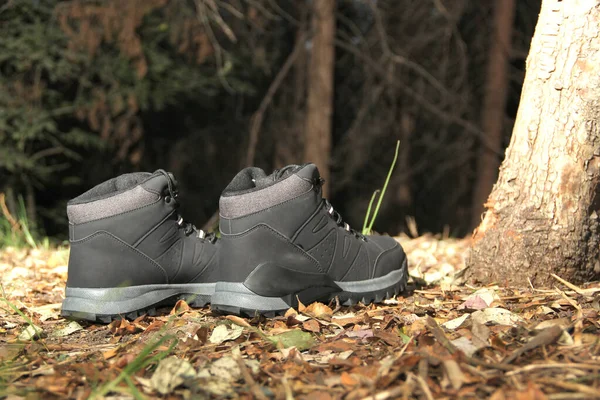 Black Boots Dark Forest Trees Ready Hiking Mountains Explore Night — 스톡 사진